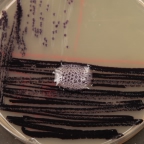 Catalase test