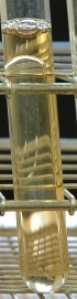 Nitrate broth reaction