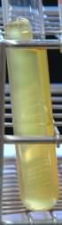 Glucose fermentation broth